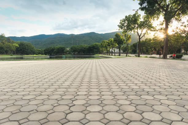Best Local Driveway Pavers  in Rogersville, AL