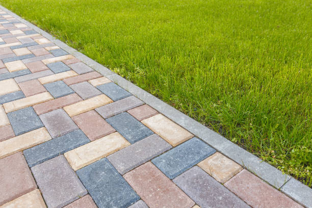 Best Custom Driveway Pavers  in Rogersville, AL